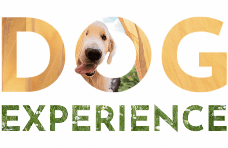 Dog Experience 2021: al Club del Sole la vacanza è davvero per tutti